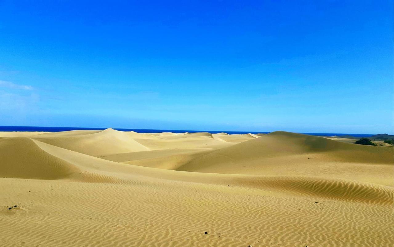 Los Molinos Apartment Ocean View ปลายา เดล อิงเกลส ภายนอก รูปภาพ